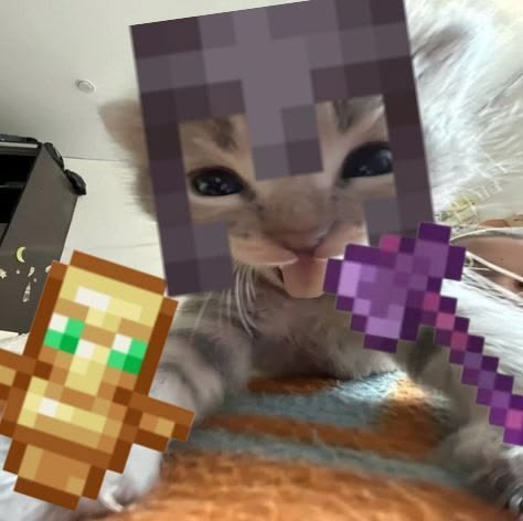 Photo de profil de Newaa